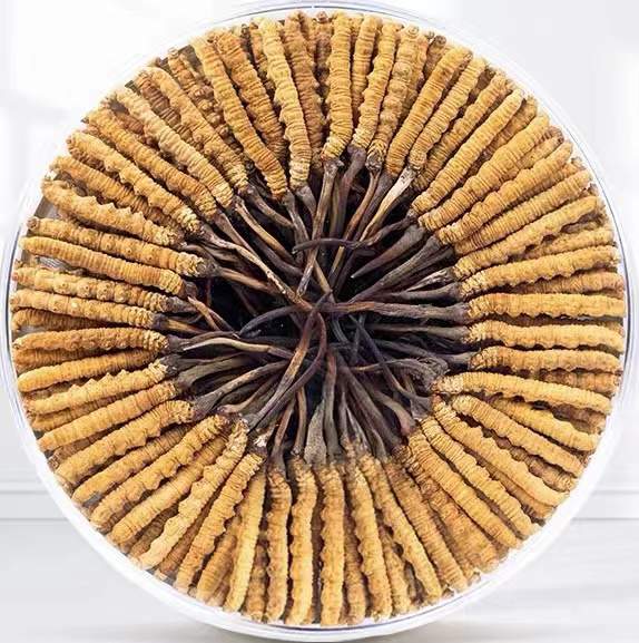 东城街道冬虫夏草回收